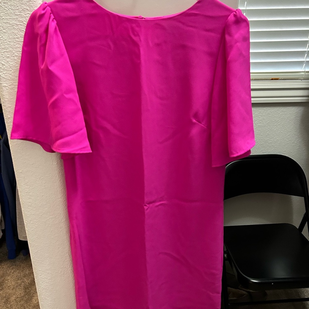 Elegant Pink Women's Dress